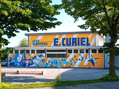 Liceo Scientifico E. CURIEL